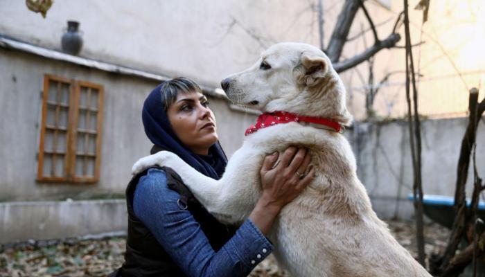 نگهداری حیوانات خانگی