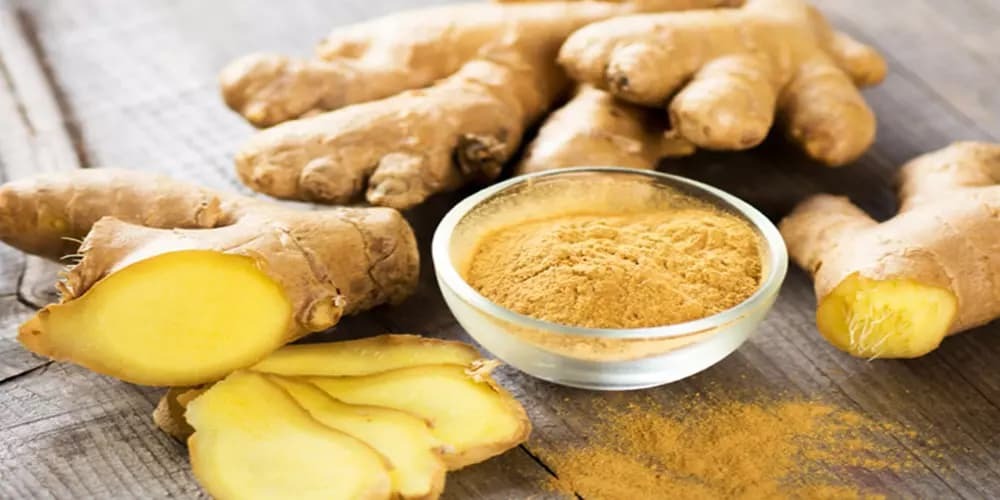 خواص درمانی و شگفت انگیز این داروی گیاهی برای سلامتی